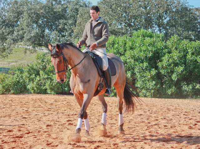 Luxury Break in the Algarve 